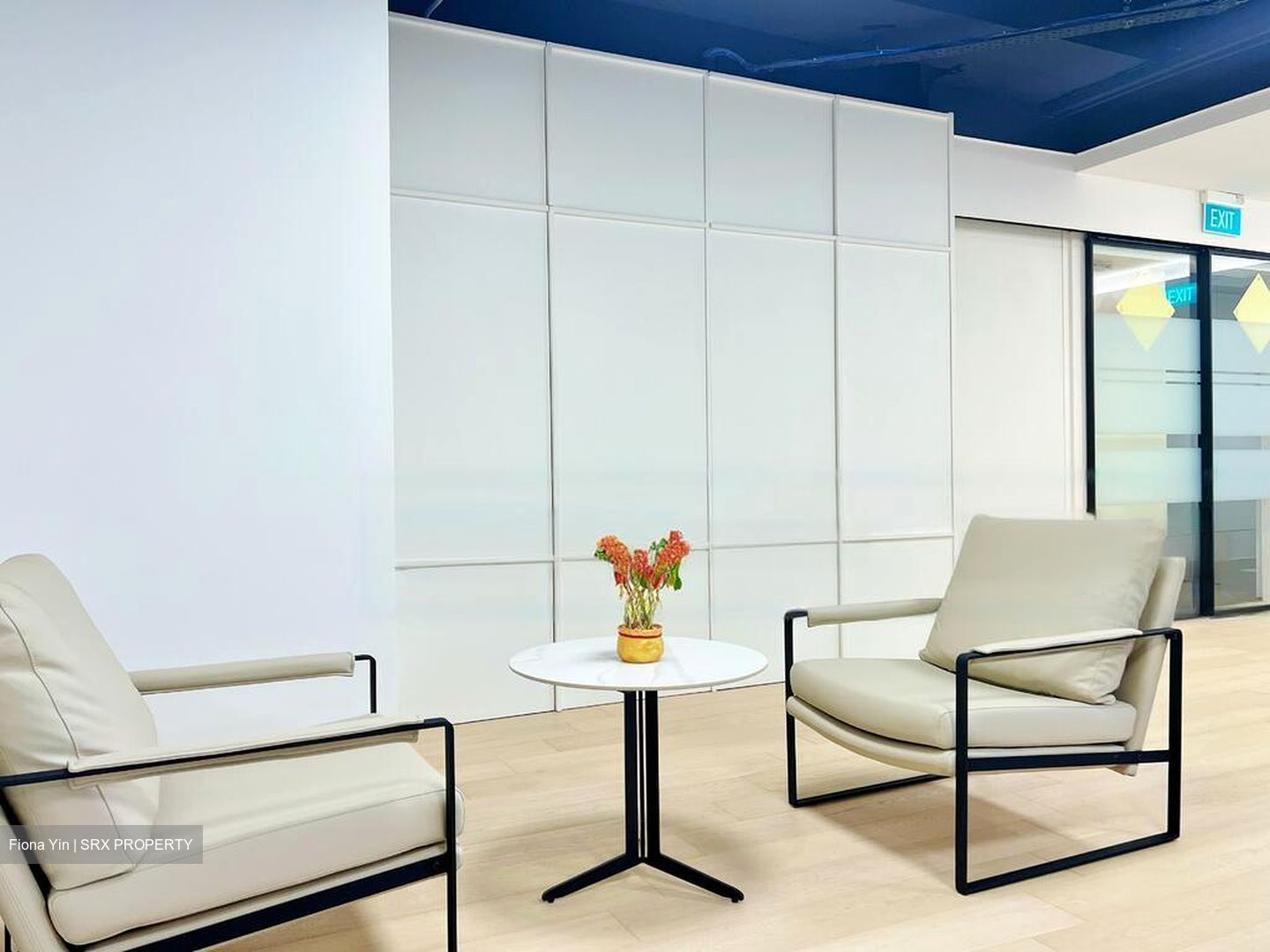 International Plaza (D2), Office #474900621